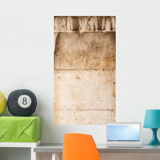 Stone Wall Mural