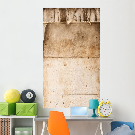 Stone Wall Mural