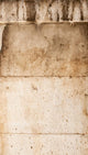 Stone Wall Mural
