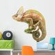 Veiled Chameleon Wall Decal