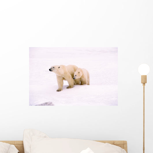 Polar Bear With Her Cub Wall Mural