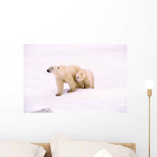 Polar Bear With Her Cub Wall Mural