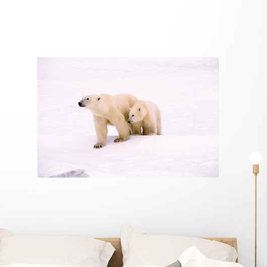 Polar Bear With Her Cub Wall Mural