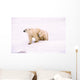 Polar Bear With Her Cub Wall Mural
