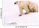 Polar Bear With Her Cub Wall Mural