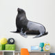 Brown Fur Seal