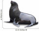 Brown Fur Seal