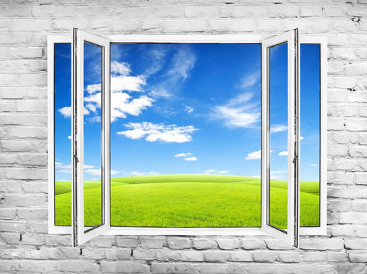 Window