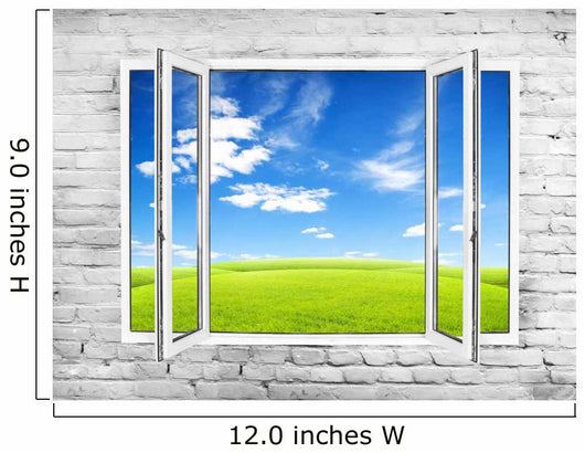 Window