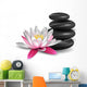 Water lily and zen stones Wall Decal