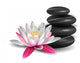 Water lily and zen stones Wall Decal