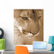 Cougar Wall Mural