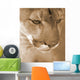Cougar Wall Mural