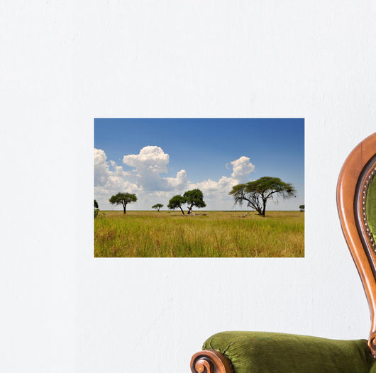 African Landscape