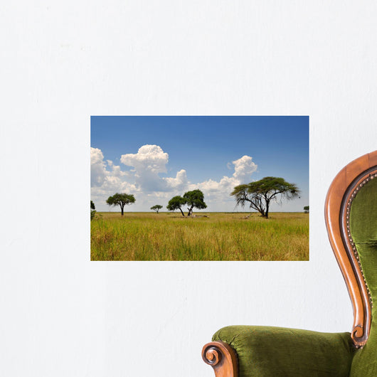 African Landscape