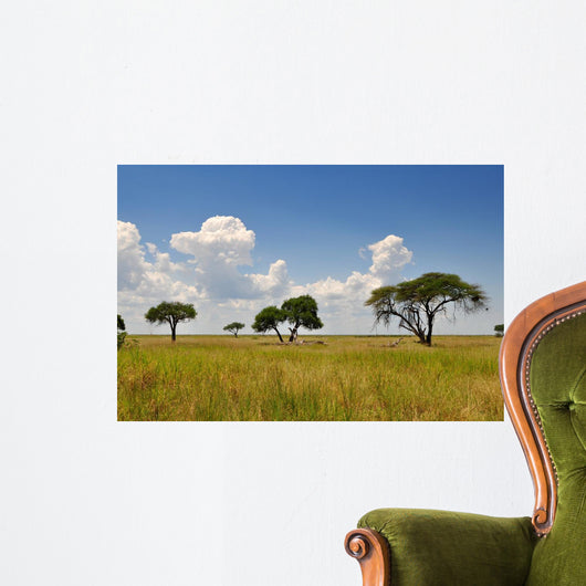 African Landscape
