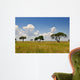 African Landscape