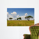 African Landscape