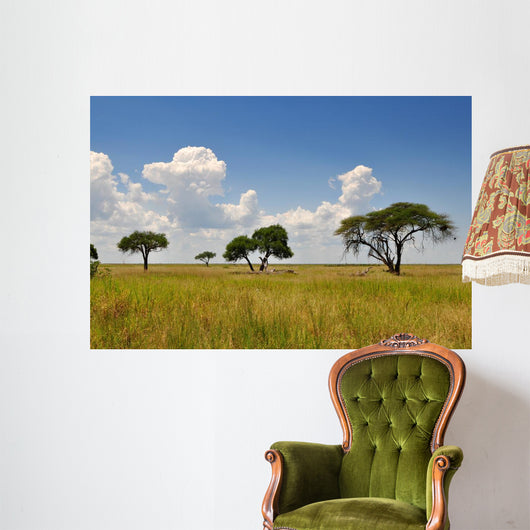 African Landscape