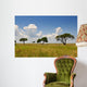 African Landscape