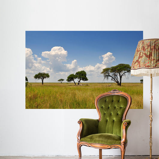 African Landscape