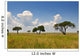 African Landscape