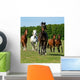 Horse Wall Mural