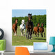 Horse Wall Mural