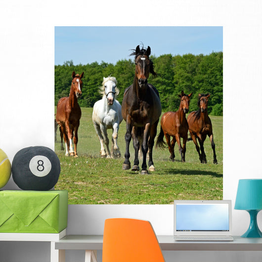 Horse Wall Mural