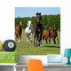 Horse Wall Mural