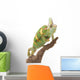 Veiled Chameleon Wall Decal