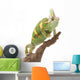 Veiled Chameleon Wall Decal