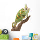 Veiled Chameleon Wall Decal