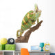 Veiled Chameleon Wall Decal
