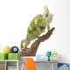 Veiled Chameleon Wall Decal
