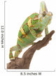 Veiled Chameleon Wall Decal