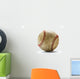 Baseball ball Wall Mural