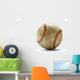 Baseball ball Wall Mural