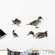 Pintail Ducks White