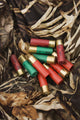Shotgun shells. Wall Mural