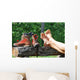 Trekking Break with Shoes