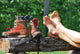 Trekking Break with Shoes