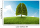 Lungs Earth