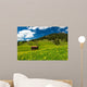 Pasture in the Bavarian Alps Wall Mural