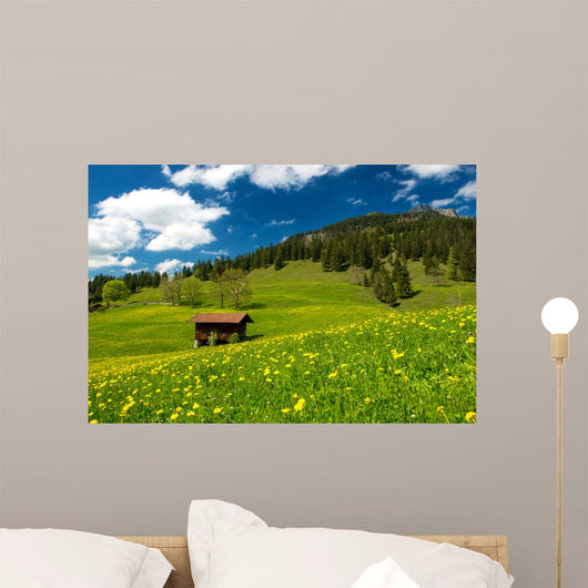 Pasture in the Bavarian Alps Wall Mural