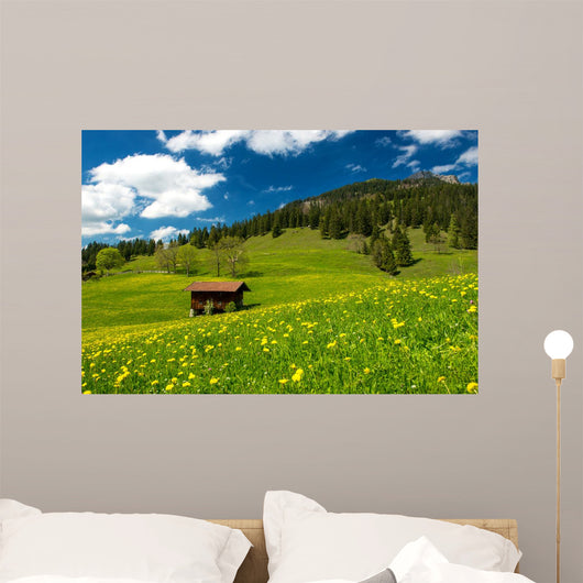 Pasture in the Bavarian Alps Wall Mural