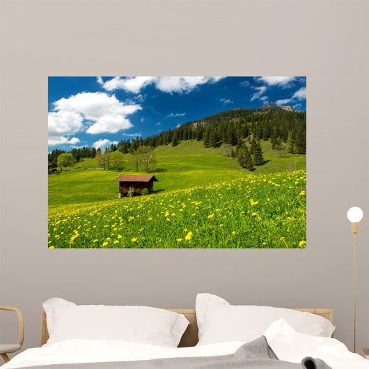 Pasture in the Bavarian Alps Wall Mural