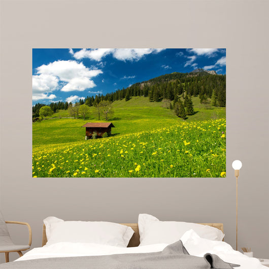 Pasture in the Bavarian Alps Wall Mural