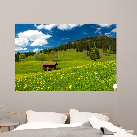 Pasture in the Bavarian Alps Wall Mural