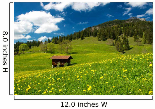 Pasture in the Bavarian Alps Wall Mural